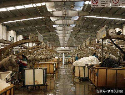 湖錦家紡工廠的地理布局及其在行業中的影響力